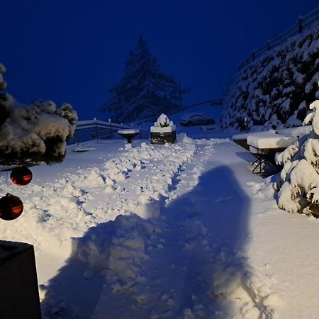 Roanerhof Aparthotel Campo Tures Kültér fotó