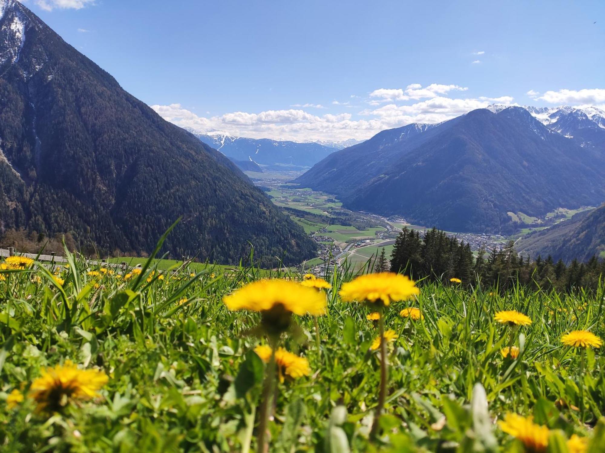 Roanerhof Aparthotel Campo Tures Kültér fotó