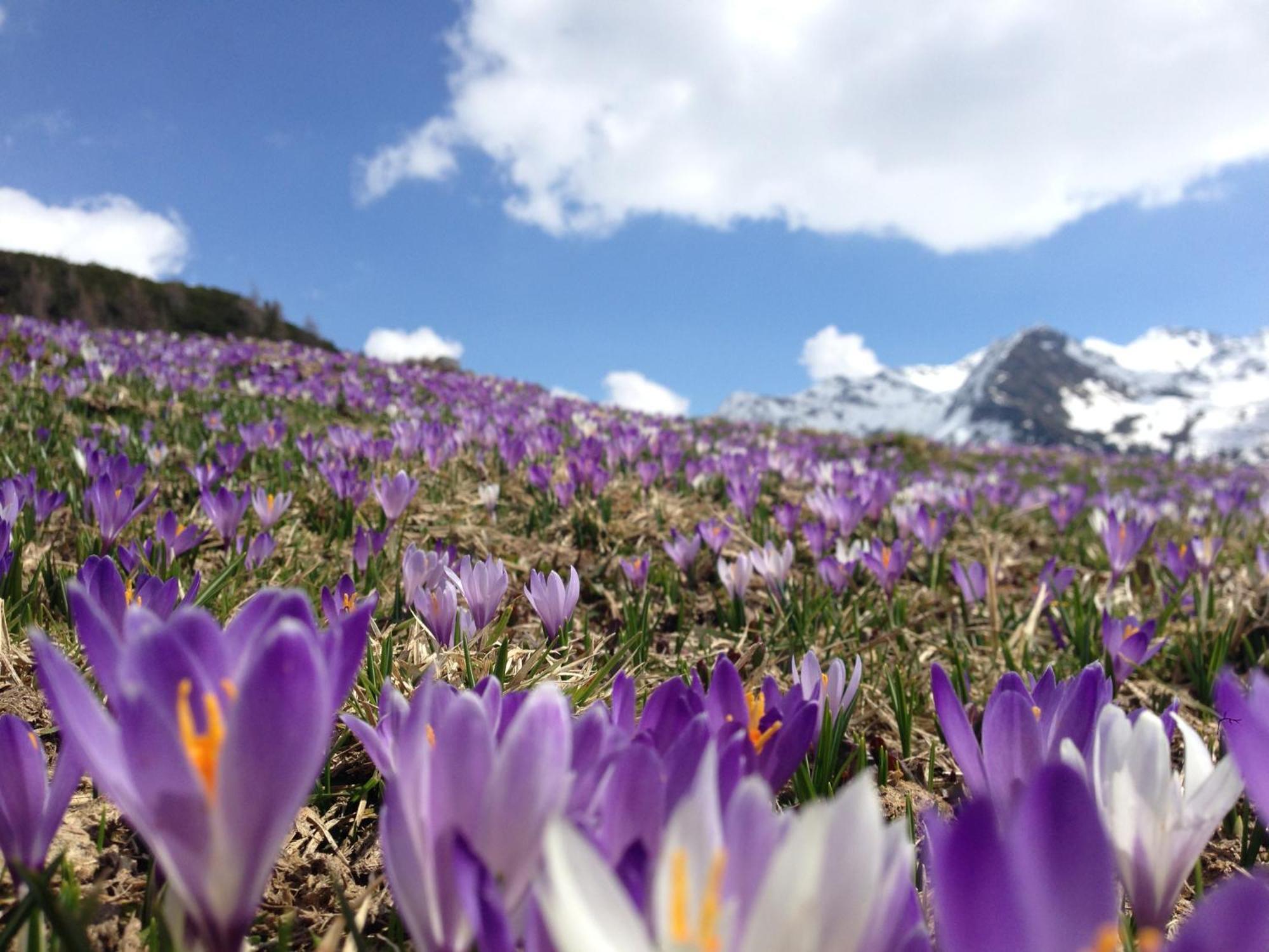 Roanerhof Aparthotel Campo Tures Kültér fotó